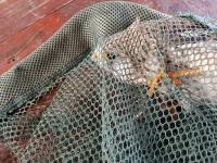 20250907_103827 (768x1024).jpg